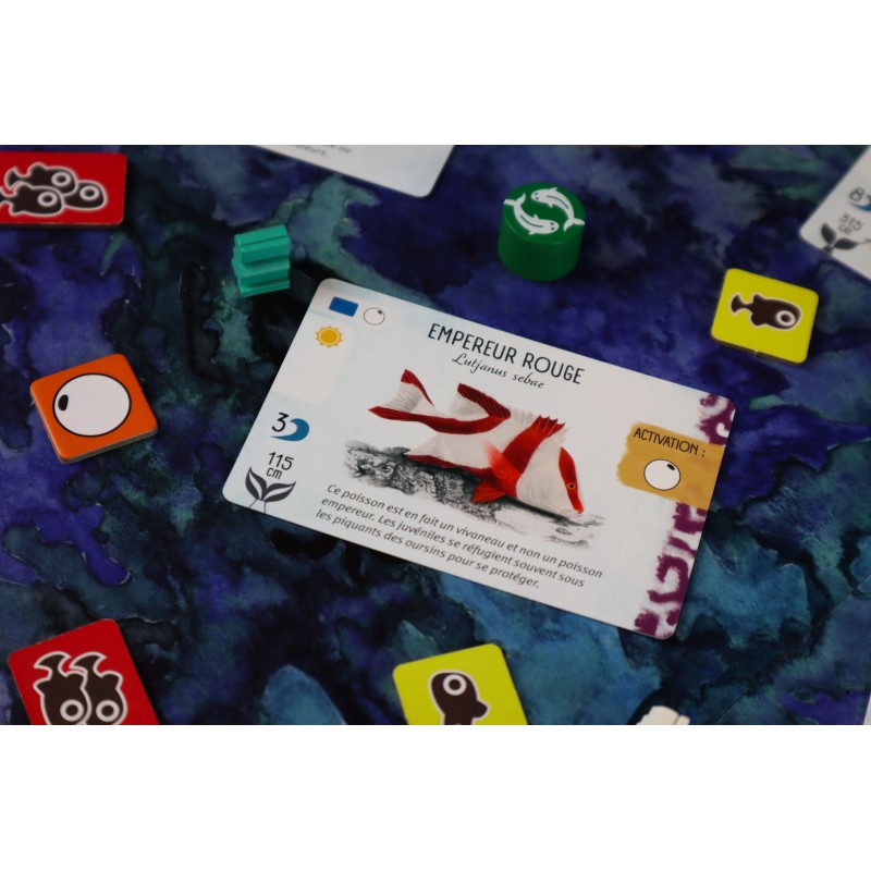 carte jeu de societe finspan