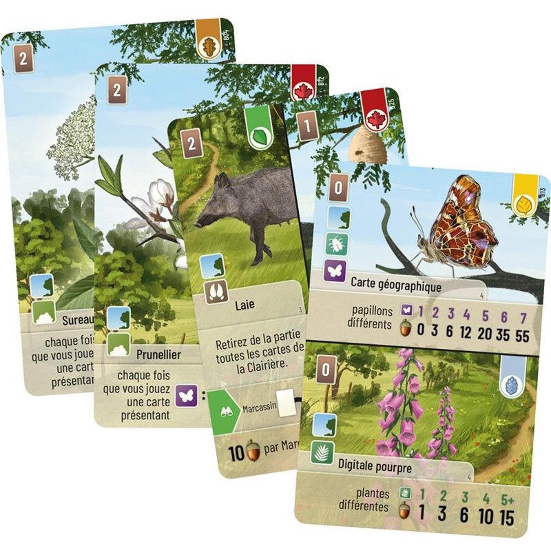 cartes jeu foret mixte lisieres