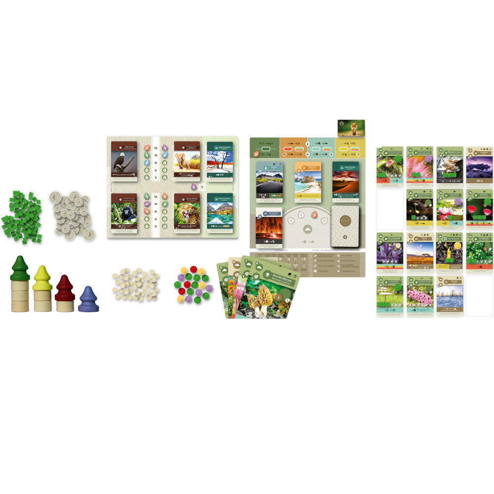 materiel jeu Earth