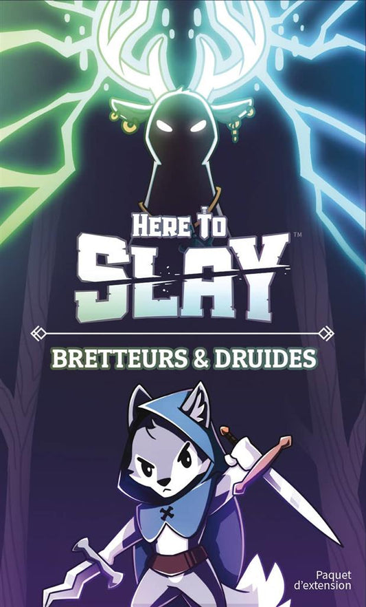 boite jeu Here to Slay Bretteurs et Druides