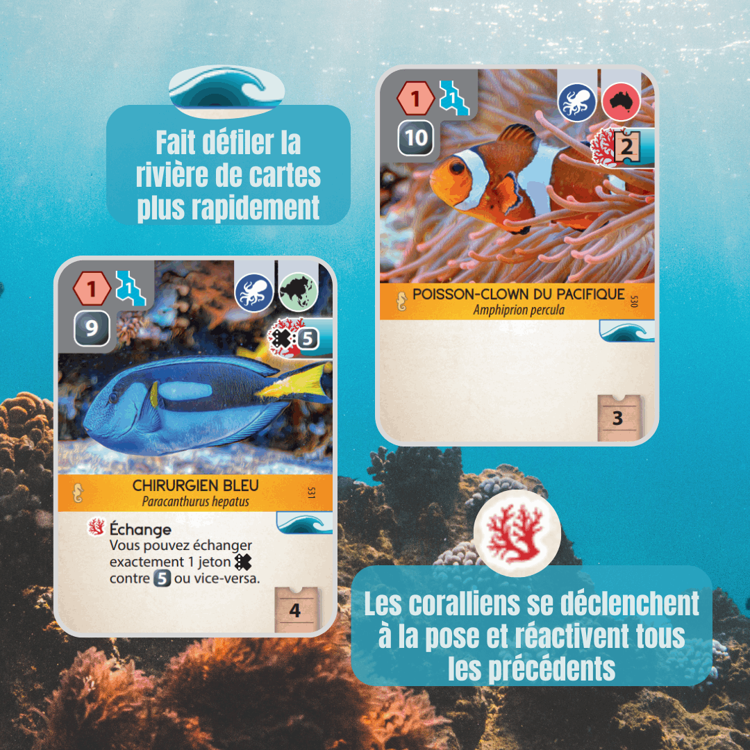 cartes 2 jeu Ark Nova Extension Mondes Marins