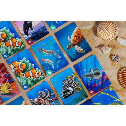 cartes jeu Ecosysteme Ocean