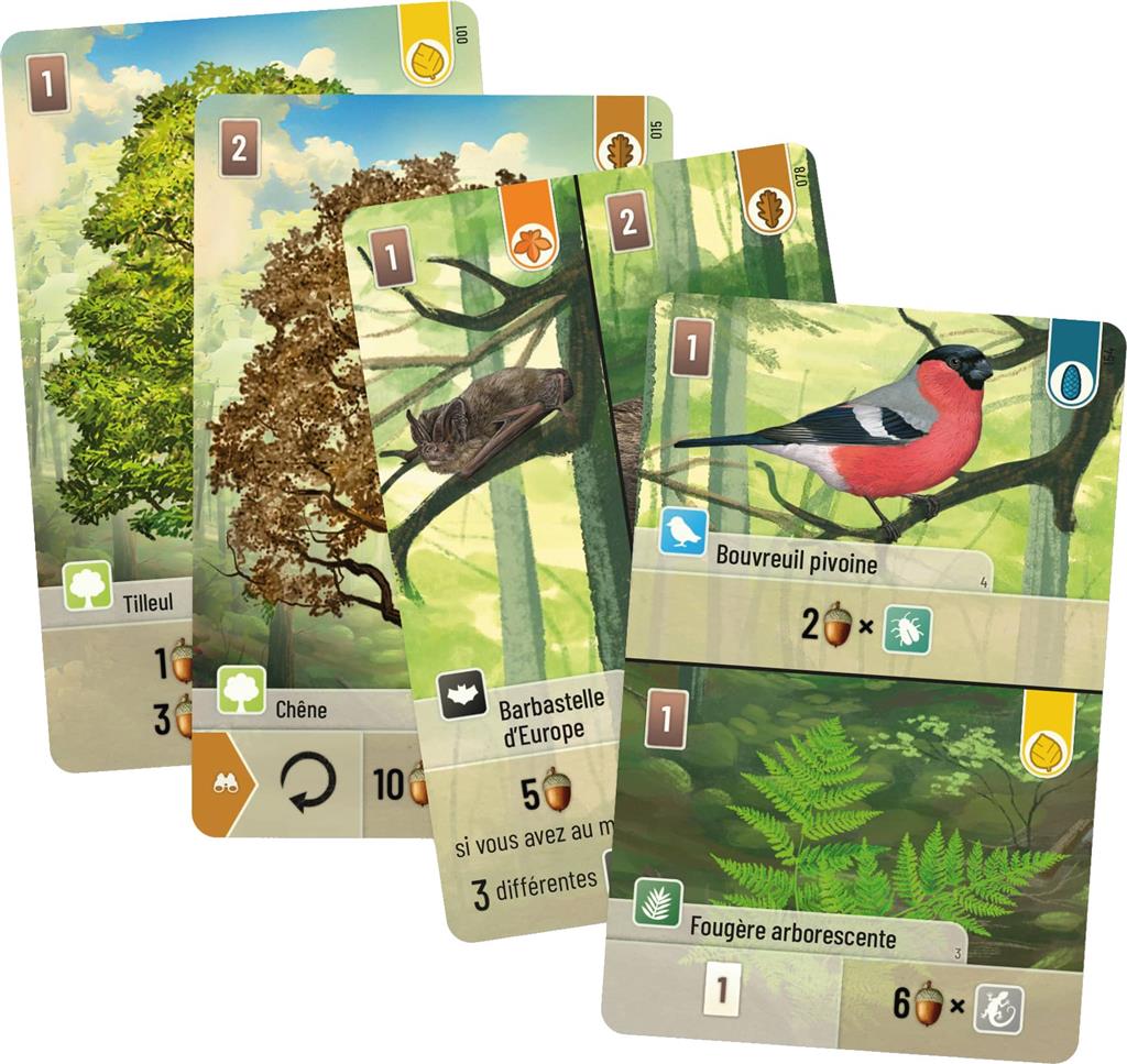 cartes jeu Foret Mixte