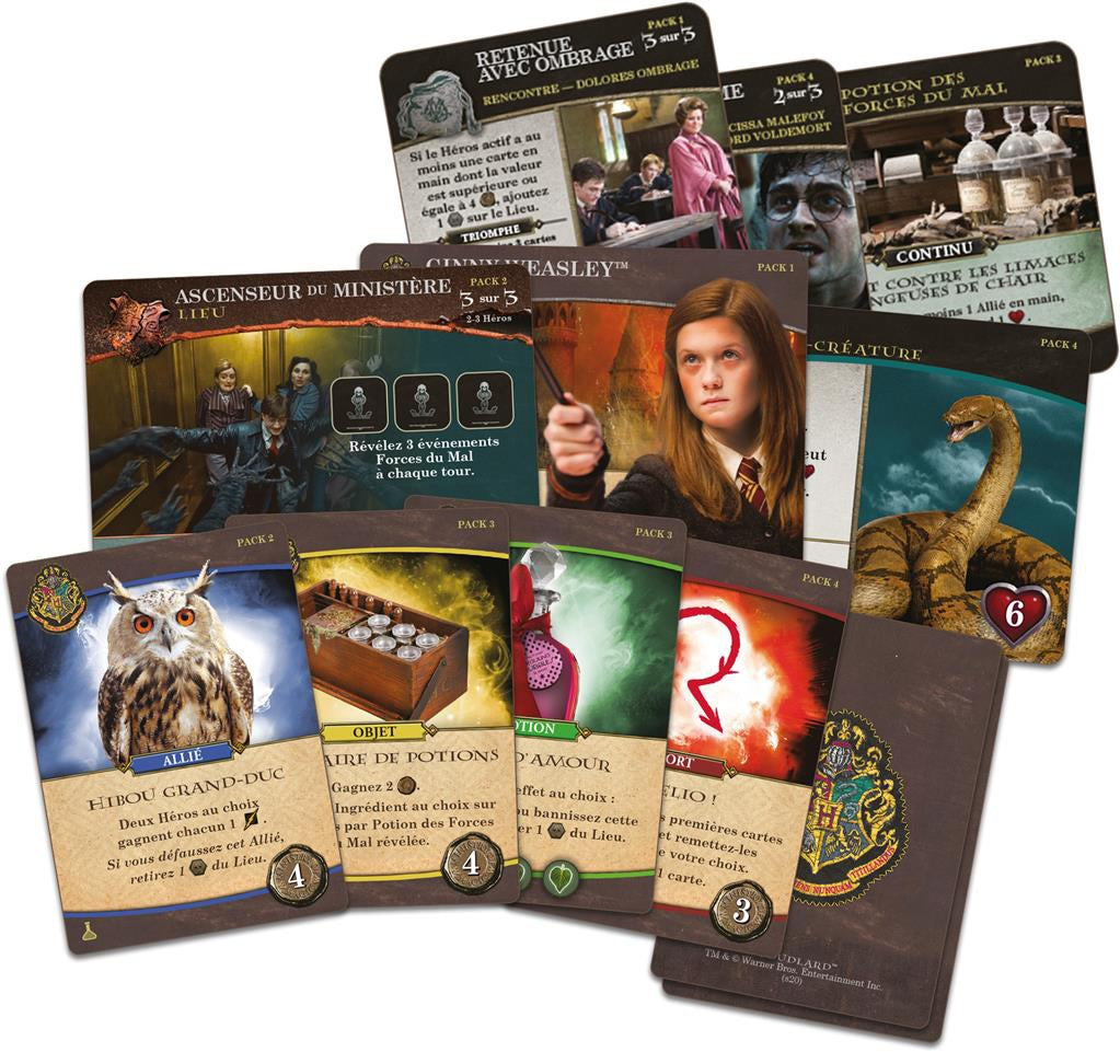 cartes jeu Harry Potter Bataille a Poudlard Sortileges et potions