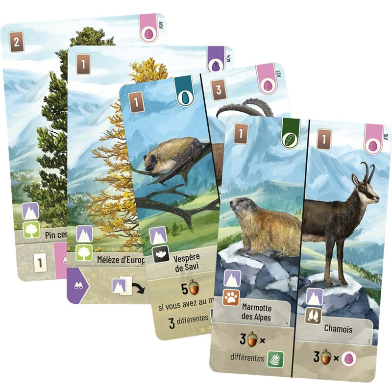 cartes jeu foret mixte alpes