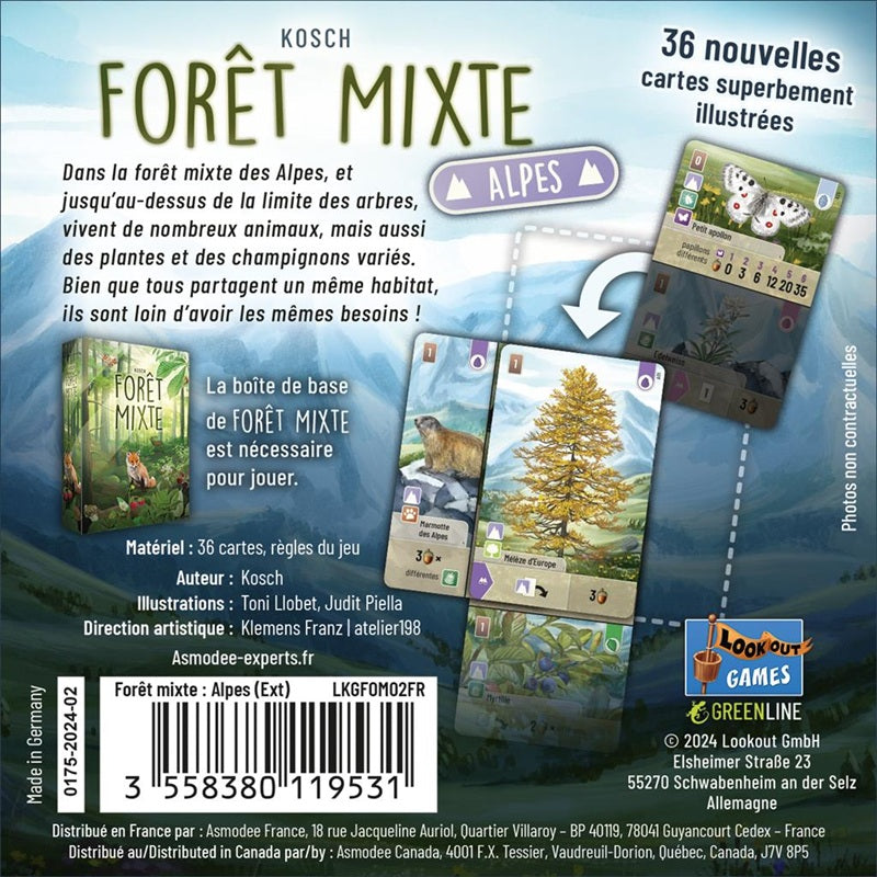 dos boite jeu foret mixte alpes