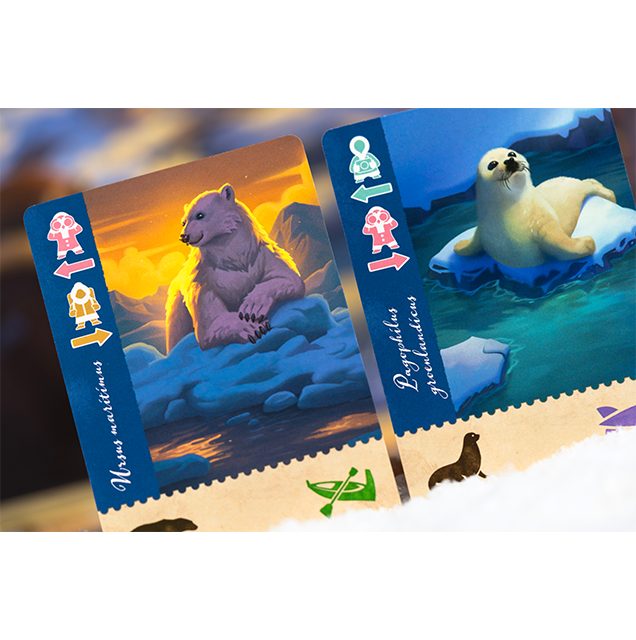 jeu de societe Borealis Expeditions Arctiques cartes