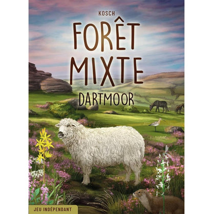 jeu de societe foret mixte Dartmoor boite