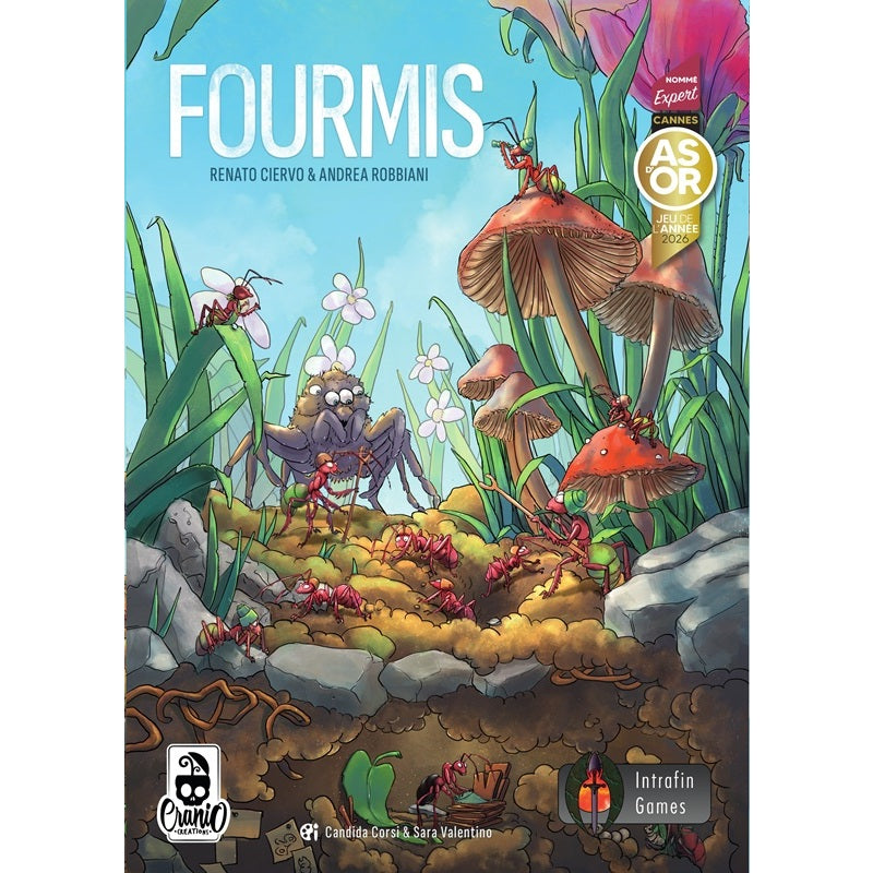 jeu de societe fourmis boite
