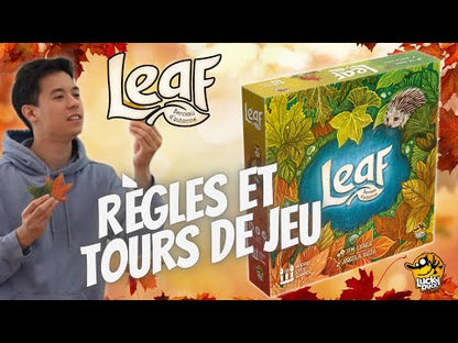 Video jeu Leaf