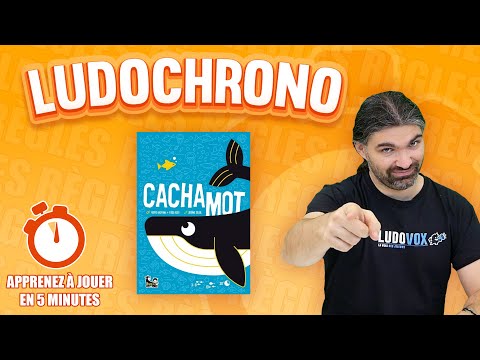 vidéo jeu cachamot