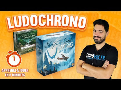 Vidéo jeu  Sleeping Gods: Distant Skies + Primeval Peril