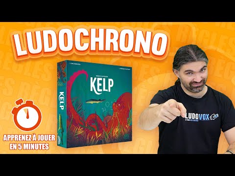 video jeu de société Kelp