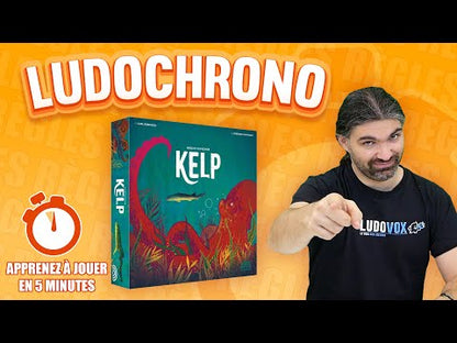 video jeu de société Kelp